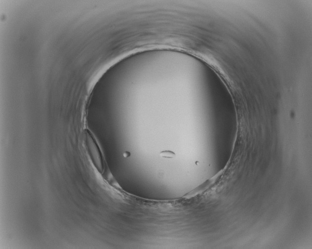 X0000073761524200608241359