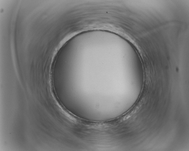 X0000073761525200608241359