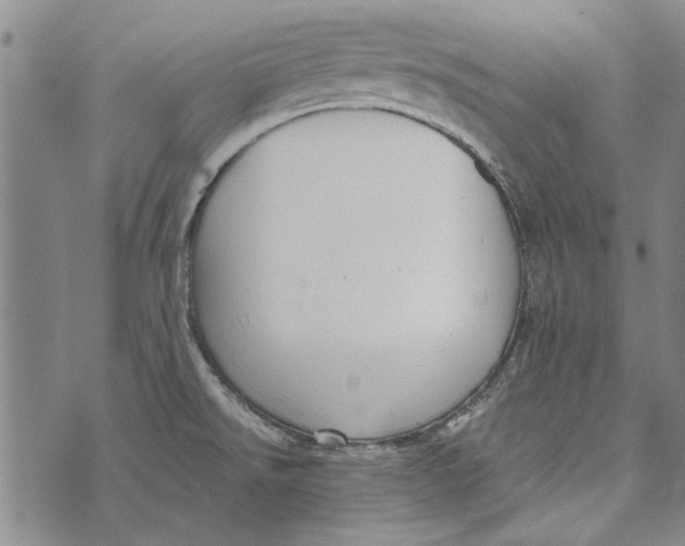 X0000073761526200608241359