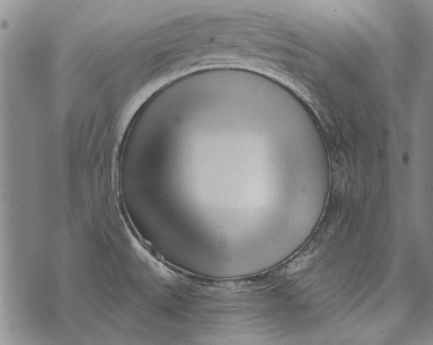 X0000073761527200608241359