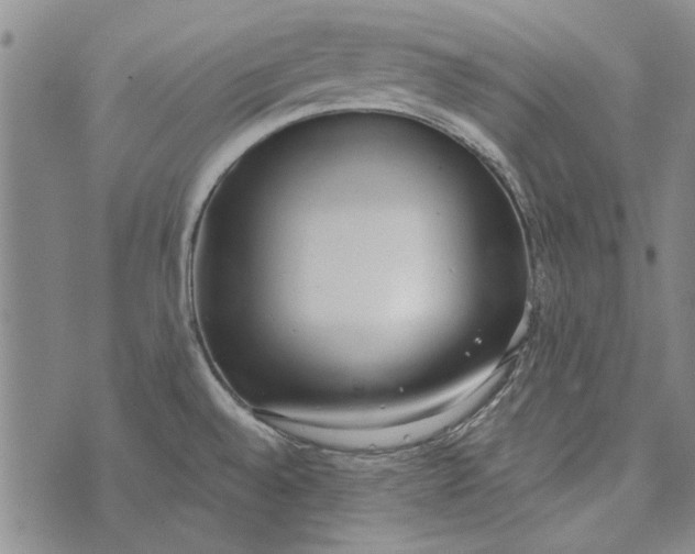 X0000073761528200608241359