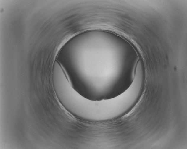 X0000073761529200608241359