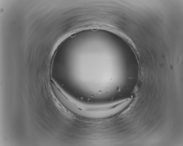 X0000073761530200608241359