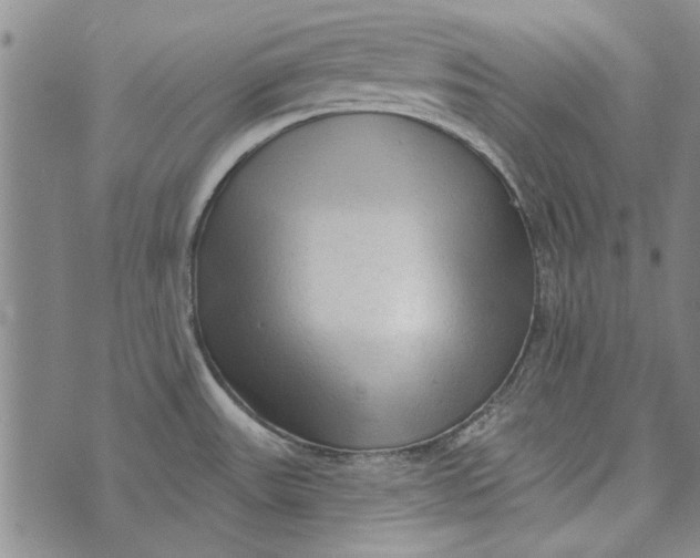 X0000073761531200608241359