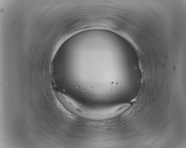 X0000073761532200608241359