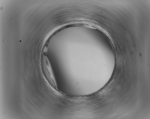 X0000073761533200608241359