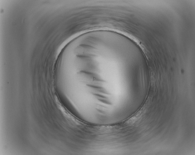 X0000073761534200608241359