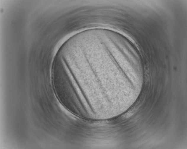 X0000073761535200608241359