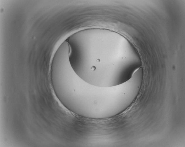 X0000073761536200608241359