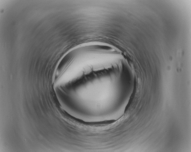 X0000073760048200608312011