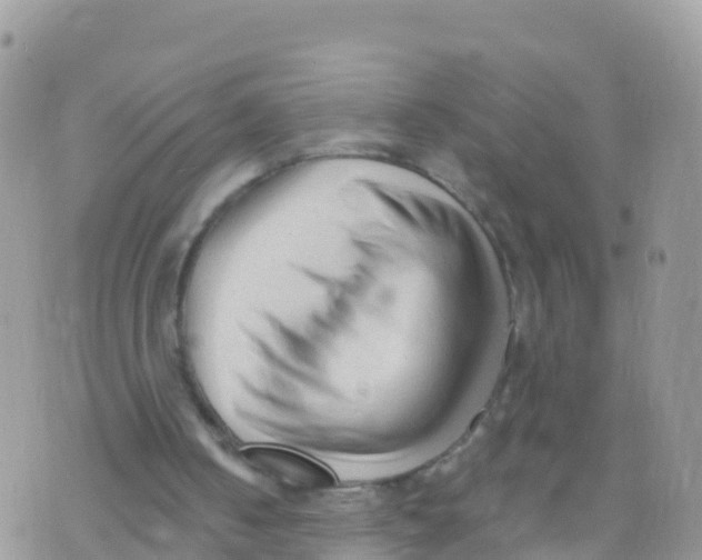 X0000073760050200608312010