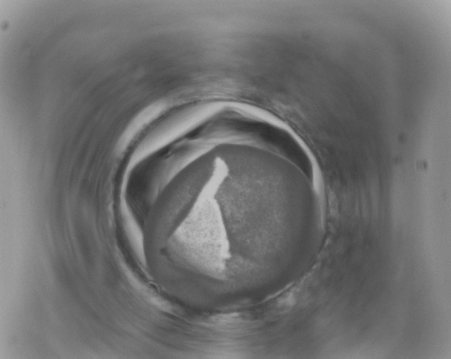 X0000073760054200608312010