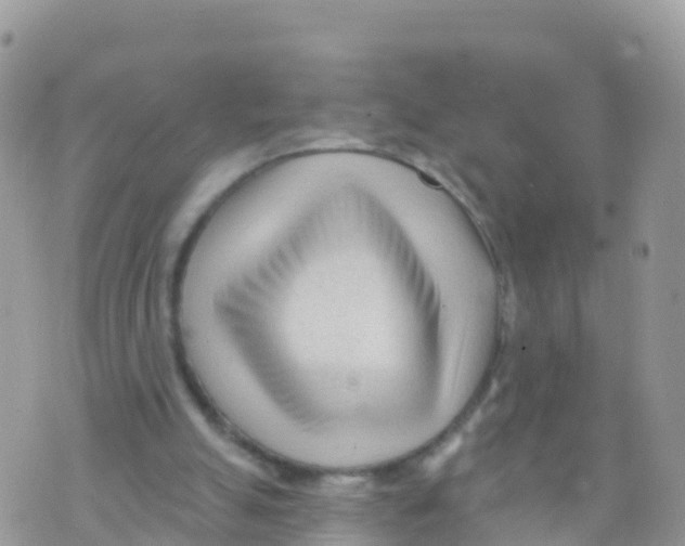 X0000073760055200608312010