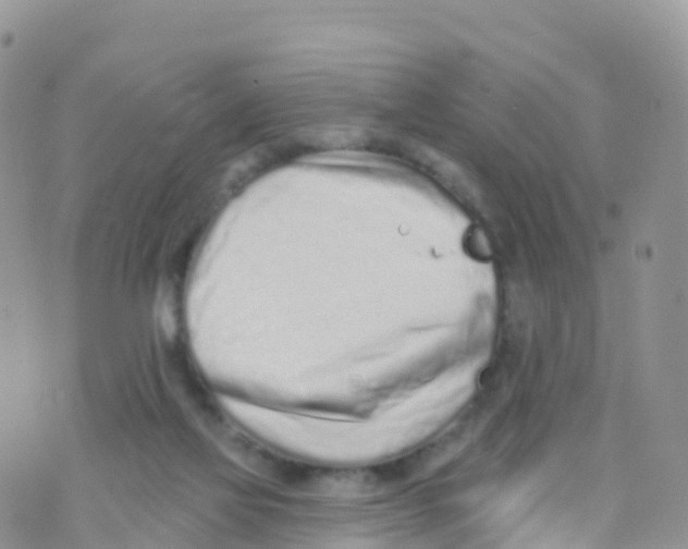 X0000073760069200608312011
