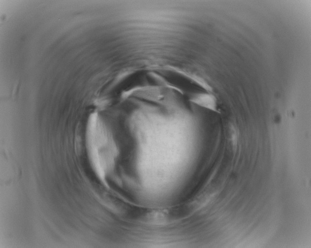 X0000073760080200608312011