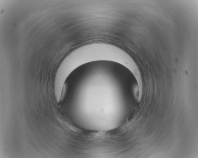 X0000073760092200608312011