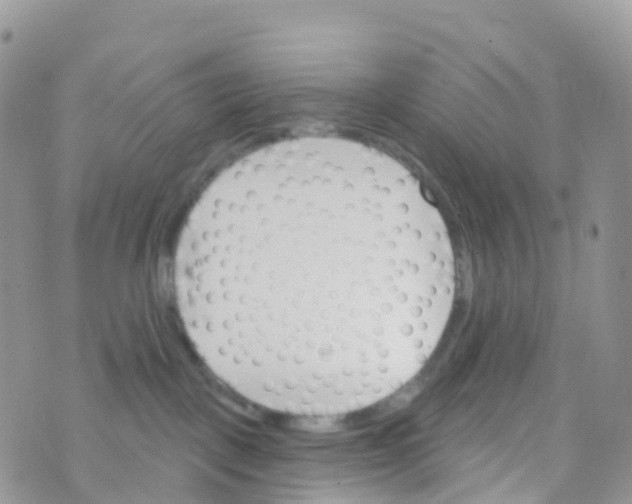 X0000073760093200608312011