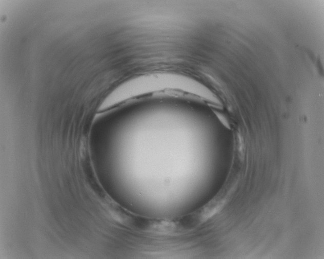 X0000073760125200608312010