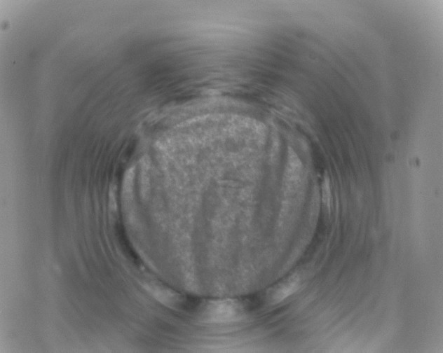 X0000073760127200608312010