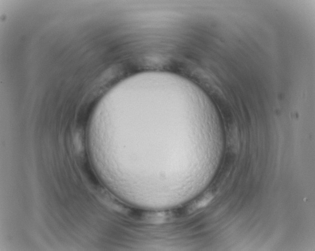 X0000073760131200608312010