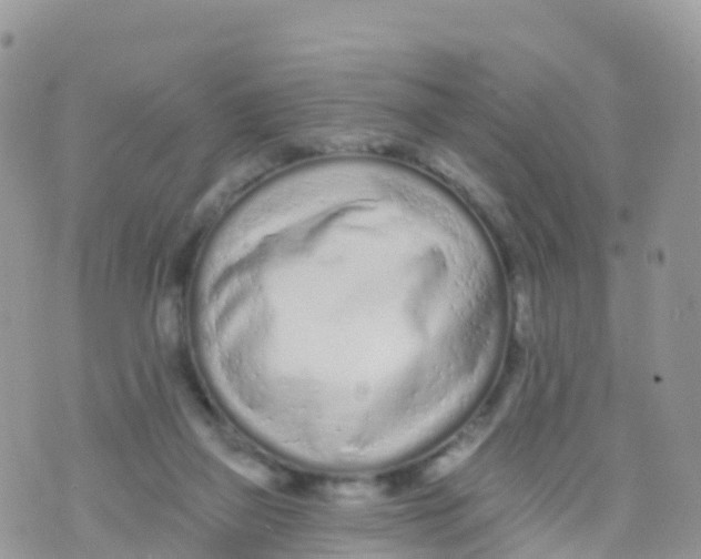 X0000073760165200608312009