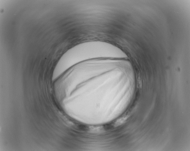 X0000073760185200608312009
