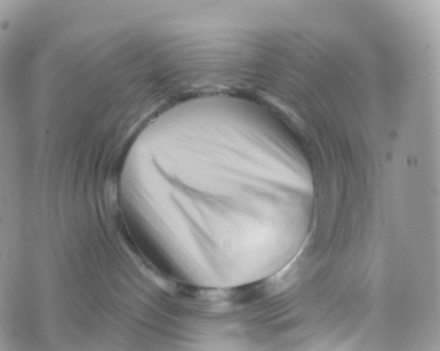 X0000073760192200608312009