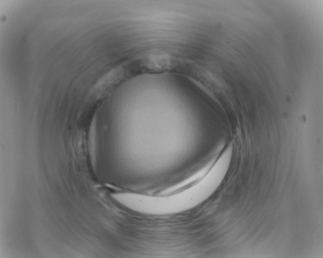 X0000073760233200608312008