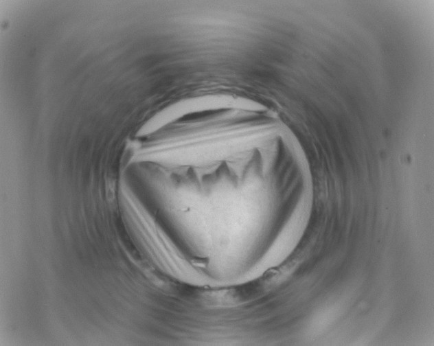 X0000073760281200608312008