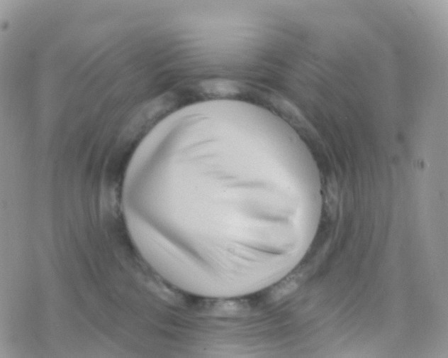 X0000073760330200608312006