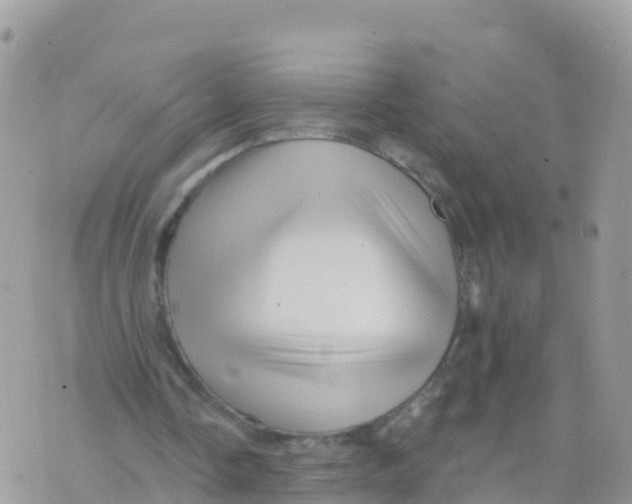 X0000073760338200608312006