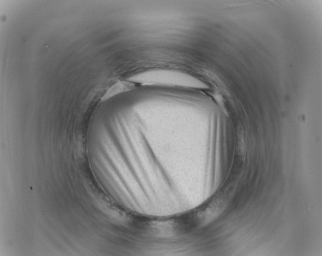 X0000073760457200608312004