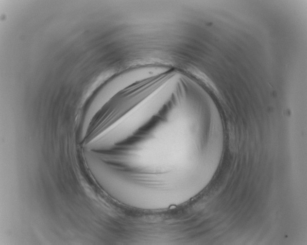X0000073760482200608312004