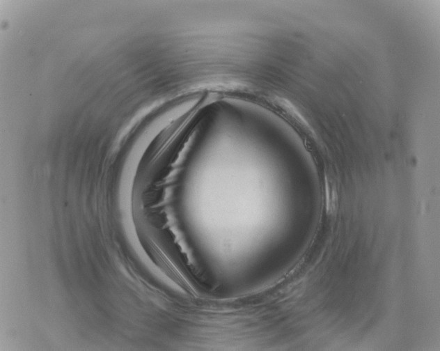 X0000073760531200608312002