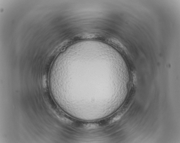 X0000073760549200608312003