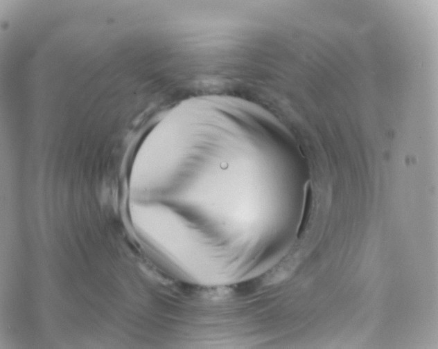 X0000073760576200608312003