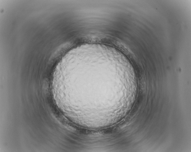 X0000073760594200608312002