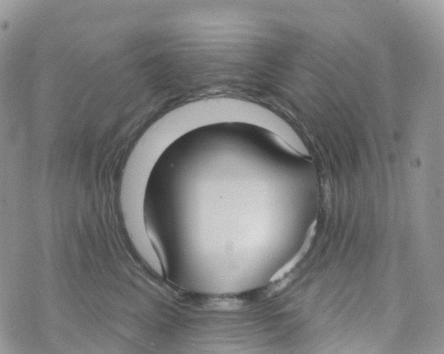 X0000073760617200608312002