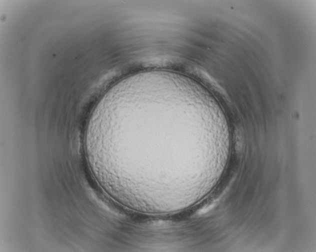 X0000073760637200608312001