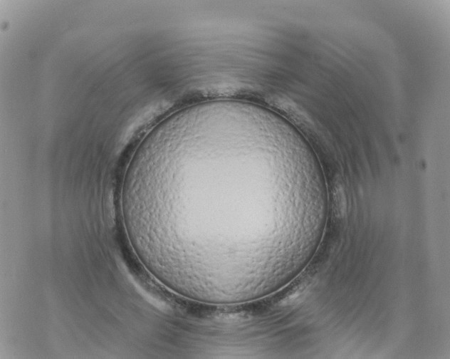 X0000073760638200608312001