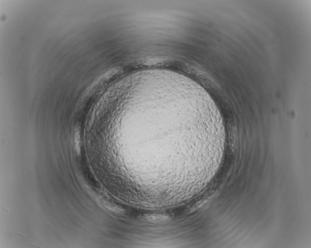 X0000073760644200608312001