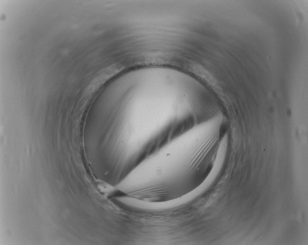 X0000073760673200608312001
