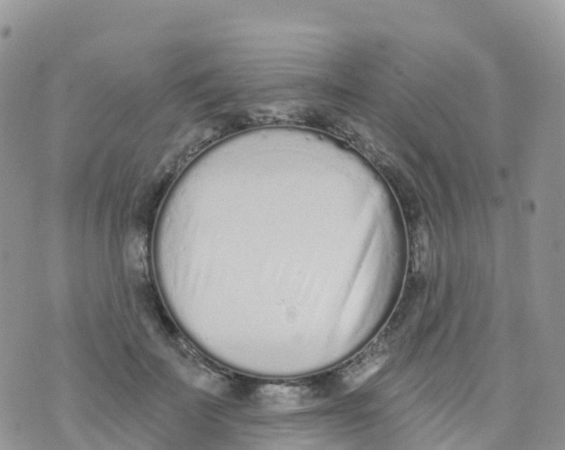 X0000073760699200608312000