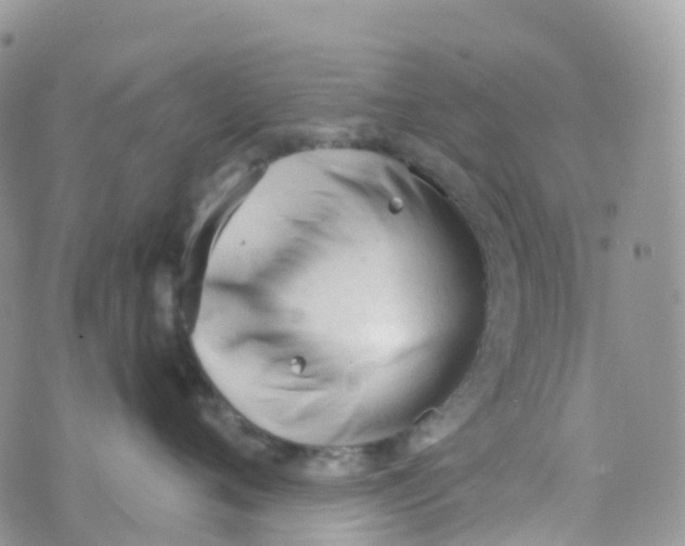 X0000073760720200608312000
