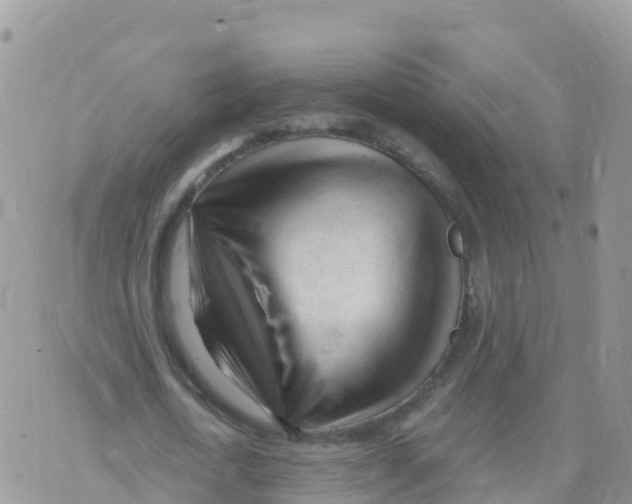 X0000073760722200608311959