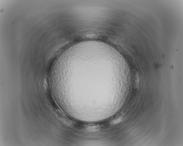 X0000073760746200608312000