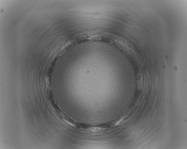 X0000073760748200608312000