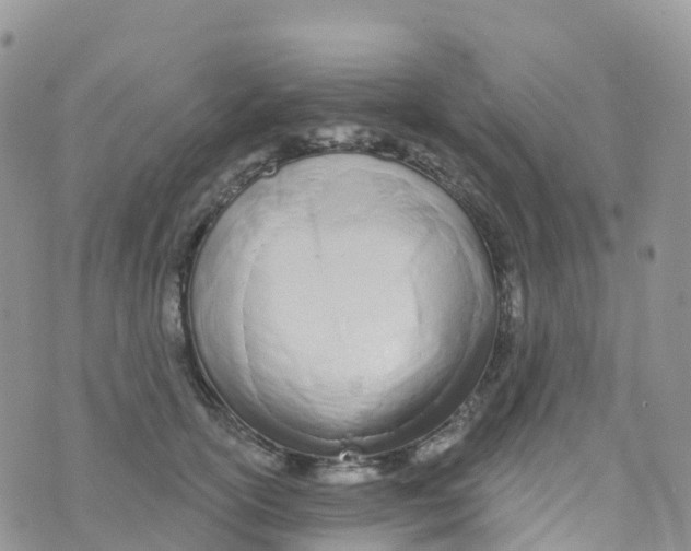X0000073760754200608312000