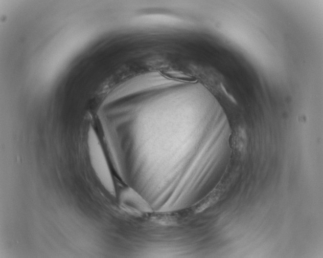 X0000073760763200608312000