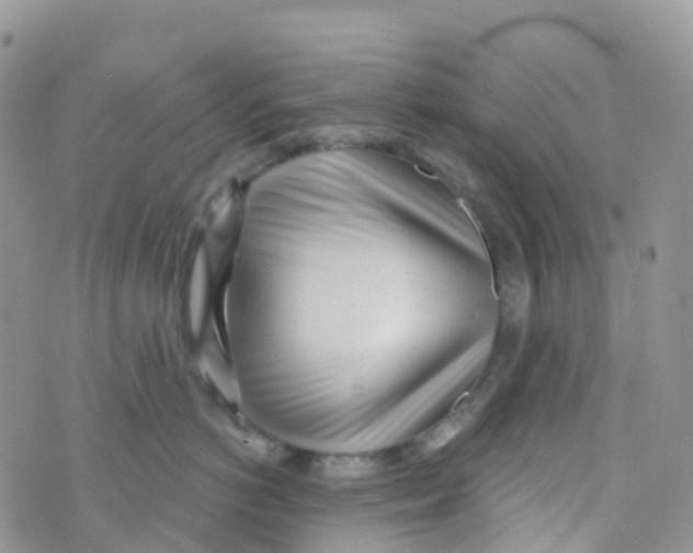 X0000073760766200608312000